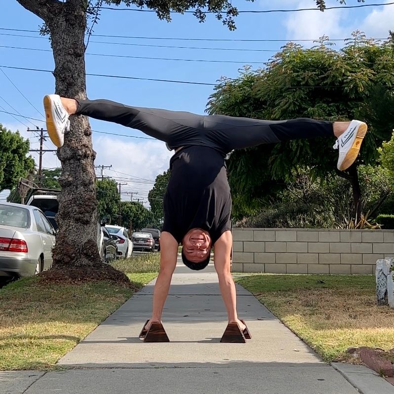 Learning To Handstand is Like Becoming an Engineer