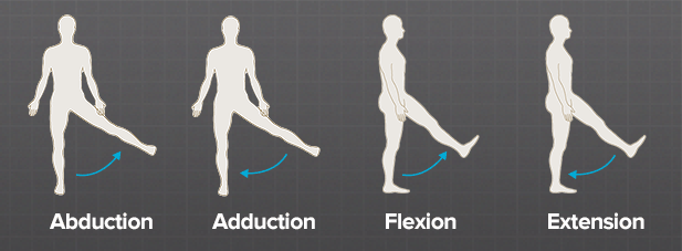 Agonist/Antagonist Muscle Pairs In the Front and Side Splits